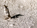Sequence5